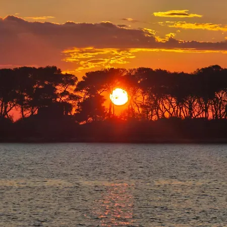 Alg Con Parcheggio 4*